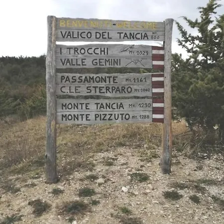 Turistico Nonno Genio